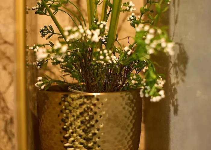 Apartment Bernard Deluxe Renovated Peaceful Old Town Gem