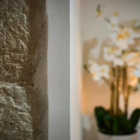 Bernard Deluxe Renovated Peaceful Old Town Gem Apartment *